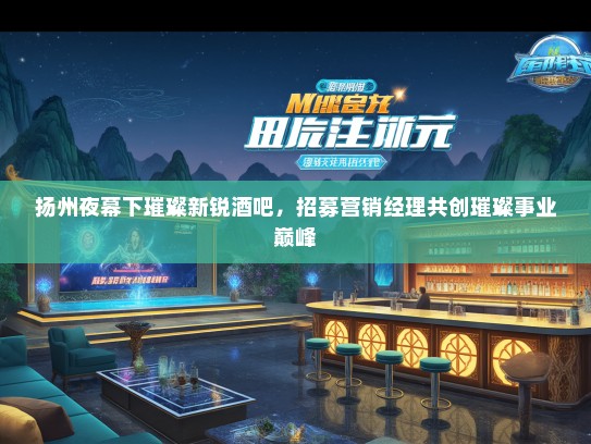 扬州夜幕下璀璨新锐酒吧，招募营销经理共创璀璨事业巅峰