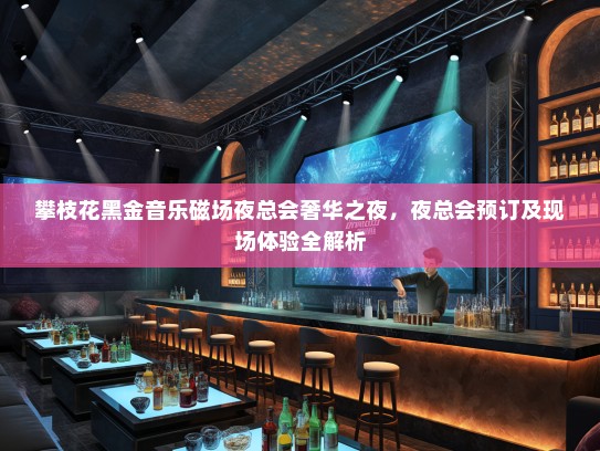 攀枝花黑金音乐磁场夜总会奢华之夜，夜总会预订及现场体验全解析
