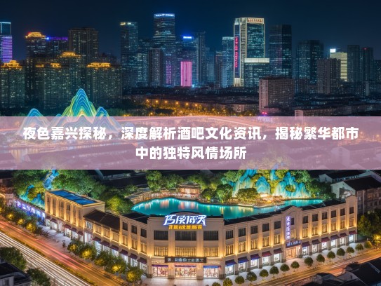 夜色嘉兴探秘，深度解析酒吧文化资讯，揭秘繁华都市中的独特风情场所