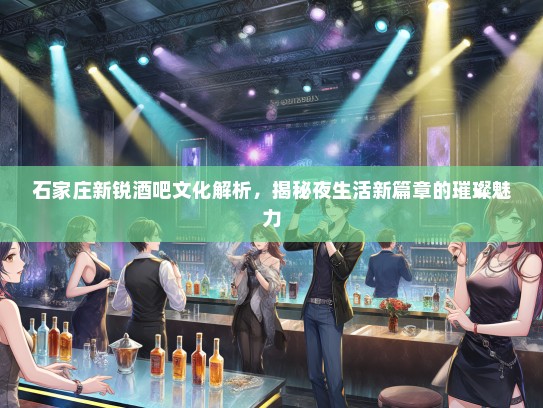 石家庄新锐酒吧文化解析，揭秘夜生活新篇章的璀璨魅力