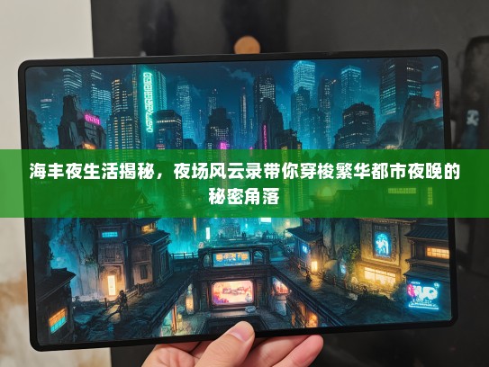 海丰夜生活揭秘，夜场风云录带你穿梭繁华都市夜晚的秘密角落