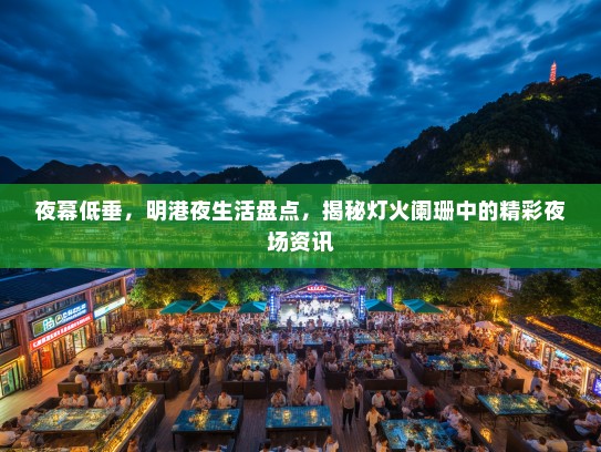 夜幕低垂，明港夜生活盘点，揭秘灯火阑珊中的精彩夜场资讯
