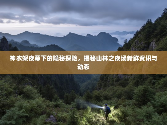 神农架夜幕下的隐秘探险，揭秘山林之夜场新鲜资讯与动态