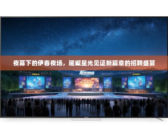 夜幕下的伊春夜场，璀璨星光见证新篇章的招聘盛宴