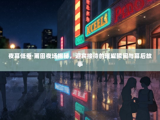夜幕低垂·莆田夜场揭秘，迎宾接待的璀璨瞬间与幕后故事