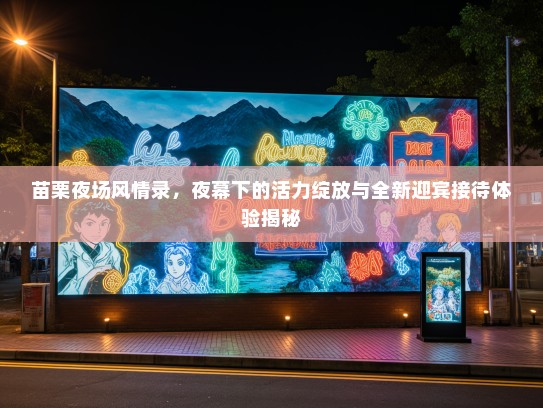 苗栗夜场风情录,夜幕下的活力绽放与全新迎宾接待体验揭秘 苗栗夜场风情录,夜幕下的活力绽放与全新迎宾接待体验揭秘