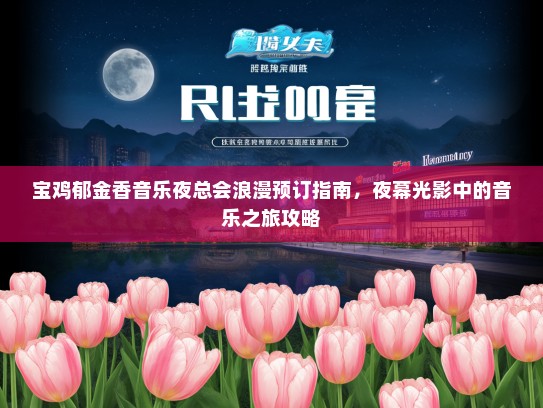 宝鸡郁金香音乐夜总会浪漫预订指南，夜幕光影中的音乐之旅攻略