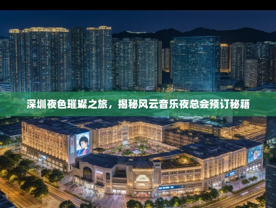 深圳夜色璀璨之旅，揭秘风云音乐夜总会预订秘籍