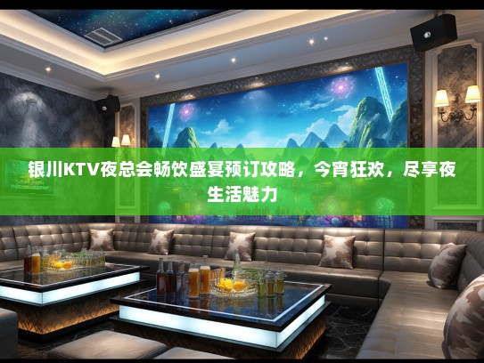 银川KTV夜总会畅饮盛宴预订攻略，今宵狂欢，尽享夜生活魅力