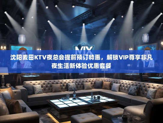沈阳麦田KTV夜总会提前预订特惠，解锁VIP尊享非凡夜生活新体验优惠套餐