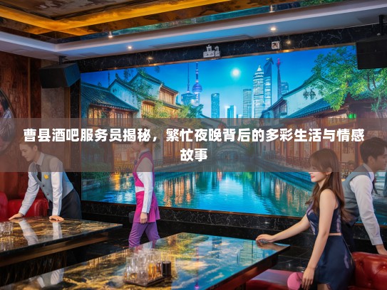 曹县酒吧服务员揭秘，繁忙夜晚背后的多彩生活与情感故事