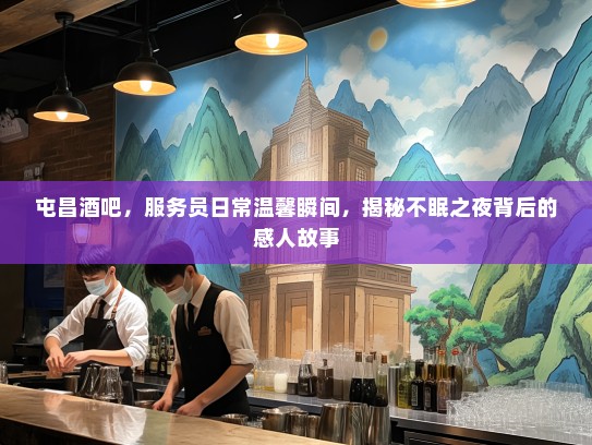屯昌酒吧，服务员日常温馨瞬间，揭秘不眠之夜背后的感人故事