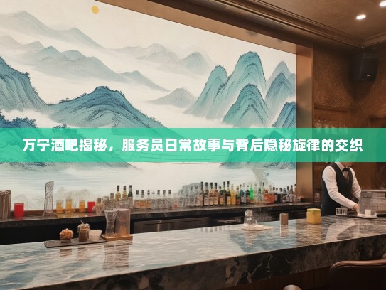 万宁酒吧揭秘，服务员日常故事与背后隐秘旋律的交织