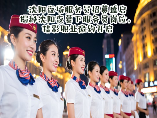 沈阳夜场服务员招募盛启，揭秘沈阳夜幕下服务员岗位，精彩职业邀约开启！