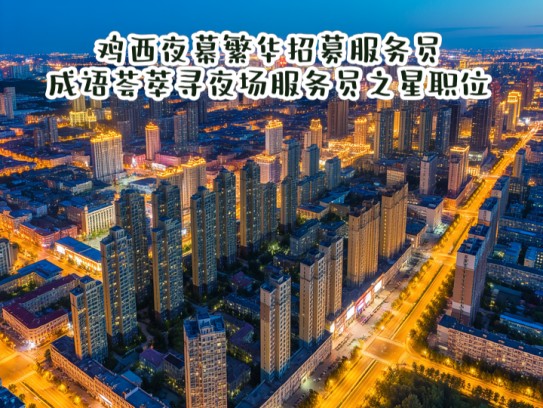 鸡西夜幕繁华招募服务员，成语荟萃寻夜场服务员之星职位