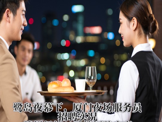 鹭岛夜幕下，厦门夜场服务员招聘实况，梦想起航，寻梦招聘启事