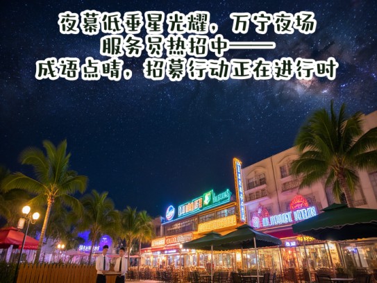 夜幕低垂星光耀，万宁夜场服务员热招中——成语点睛，招募行动正在进行时