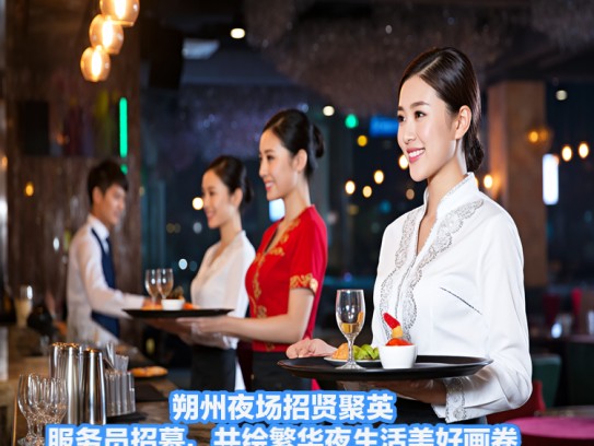 朔州夜场招贤聚英，服务员招募，共绘繁华夜生活美好画卷