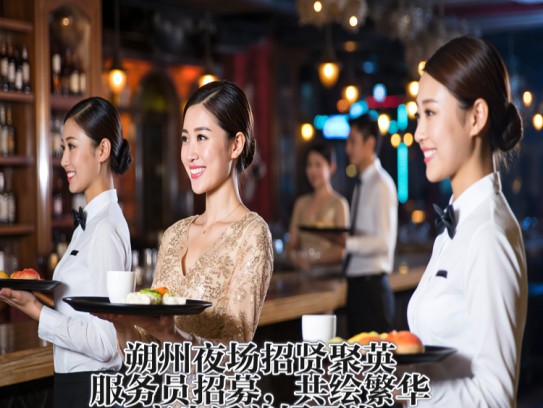 朔州夜场招贤聚英，服务员招募，共绘繁华夜生活美好画卷