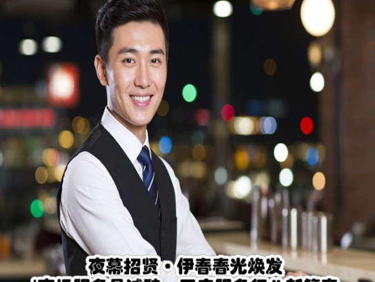 夜幕招贤·伊春春光焕发夜场服务员诚聘，开启服务行业新篇章