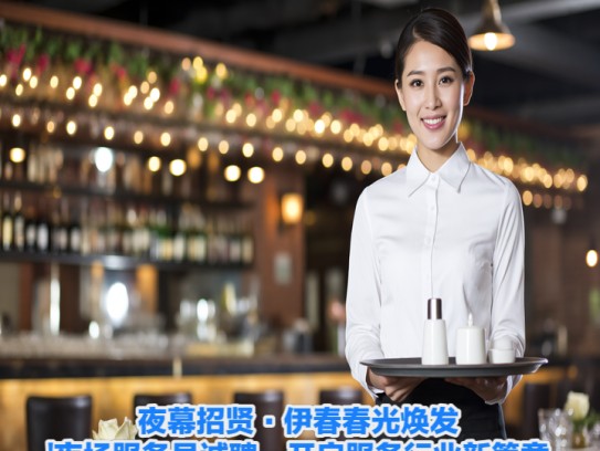 夜幕招贤·伊春春光焕发夜场服务员诚聘，开启服务行业新篇章