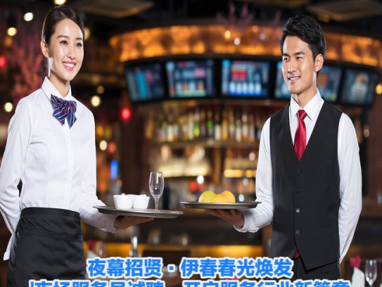 夜幕招贤·伊春春光焕发夜场服务员诚聘，开启服务行业新篇章