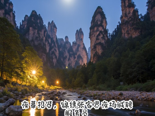 夜幕招贤，锦绣张家界夜场诚聘服务员，共享山城夜色魅力