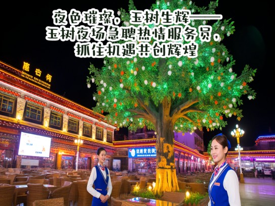 夜色璀璨，玉树生辉——玉树夜场急聘热情服务员，抓住机遇共创辉煌！