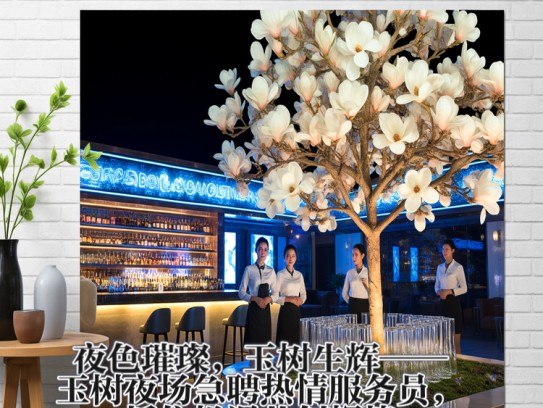 夜色璀璨，玉树生辉——玉树夜场急聘热情服务员，抓住机遇共创辉煌！