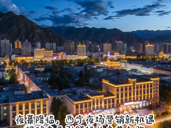 夜幕降临，西宁夜场营销新机遇，招聘启示引领行业变革之路
