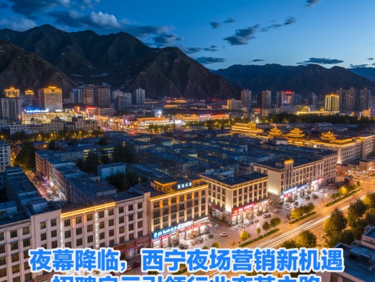 夜幕降临，西宁夜场营销新机遇，招聘启示引领行业变革之路