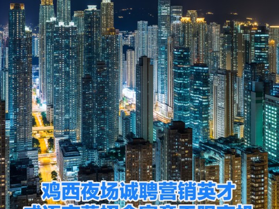 鸡西夜场诚聘营销英才，成语夜幕招金寓意无限商机
