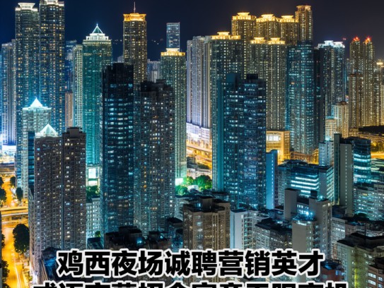 鸡西夜场诚聘营销英才，成语夜幕招金寓意无限商机