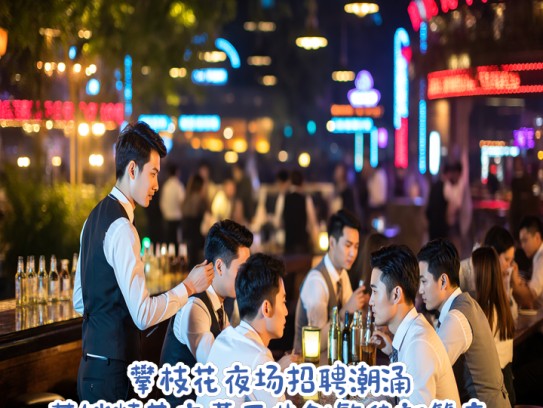 攀枝花夜场招聘潮涌，营销精英夜幕下共创繁华新篇章