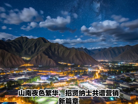 山南夜色繁华，招贤纳士共谱营销新篇章——山南夜场诚邀营销精英加盟！
