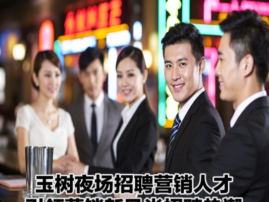 玉树夜场招聘营销人才，引领营销新风尚招聘热潮