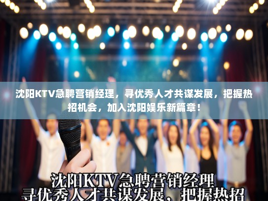 沈阳KTV急聘营销经理，寻优秀人才共谋发展，把握热招机会，加入沈阳娱乐新篇章！