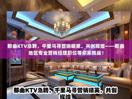那曲KTV急聘，千里马寻营销精英，共创辉煌——那曲地区专业营销经理职位等你来挑战！