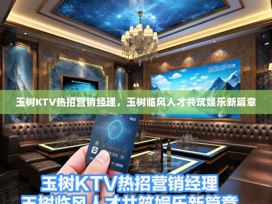 玉树KTV热招营销经理，玉树临风人才共筑娱乐新篇章