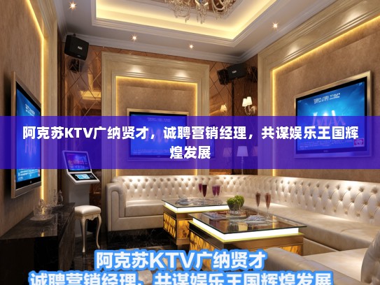 阿克苏KTV广纳贤才，诚聘营销经理，共谋娱乐王国辉煌发展