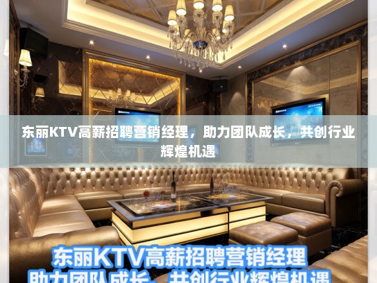 东丽KTV高薪招聘营销经理，助力团队成长，共创行业辉煌机遇
