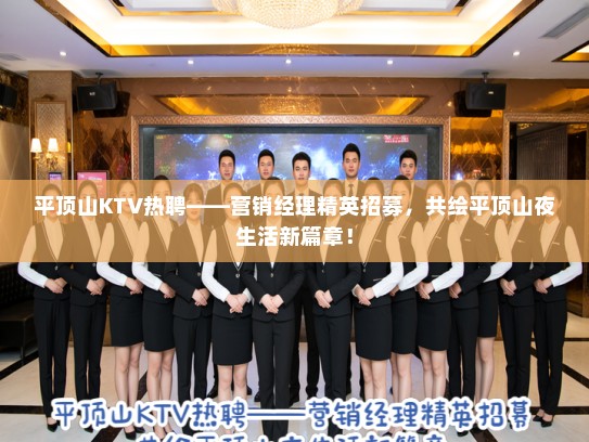 平顶山KTV热聘——营销经理精英招募，共绘平顶山夜生活新篇章！