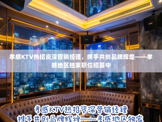 孝感KTV热招资深营销经理，携手共创品牌辉煌——孝感地区独家职位招募中