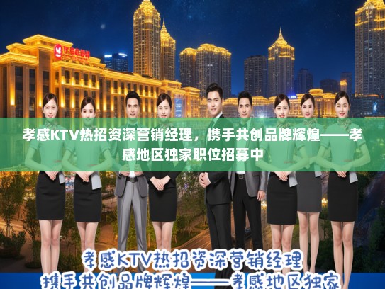 孝感KTV热招资深营销经理，携手共创品牌辉煌——孝感地区独家职位招募中