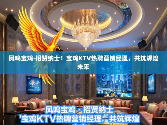 凤鸣宝鸡·招贤纳士！宝鸡KTV热聘营销经理，共筑辉煌未来