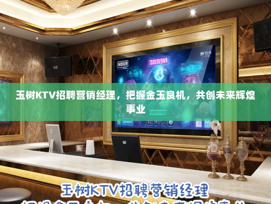 玉树KTV招聘营销经理，把握金玉良机，共创未来辉煌事业
