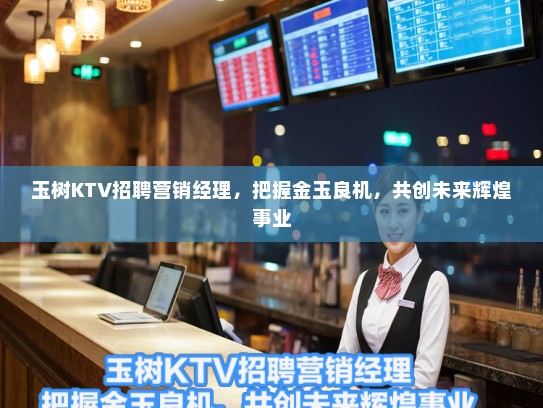 玉树KTV招聘营销经理，把握金玉良机，共创未来辉煌事业