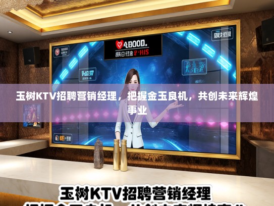 玉树KTV招聘营销经理，把握金玉良机，共创未来辉煌事业