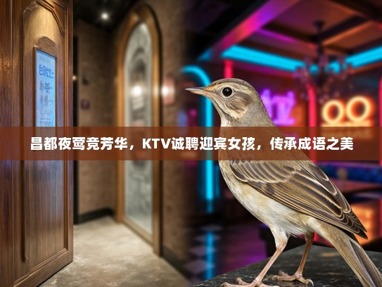 昌都夜莺竞芳华，KTV诚聘迎宾女孩，传承成语之美