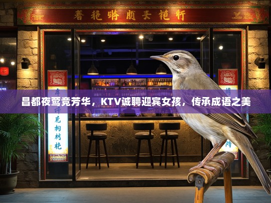 昌都夜莺竞芳华，KTV诚聘迎宾女孩，传承成语之美